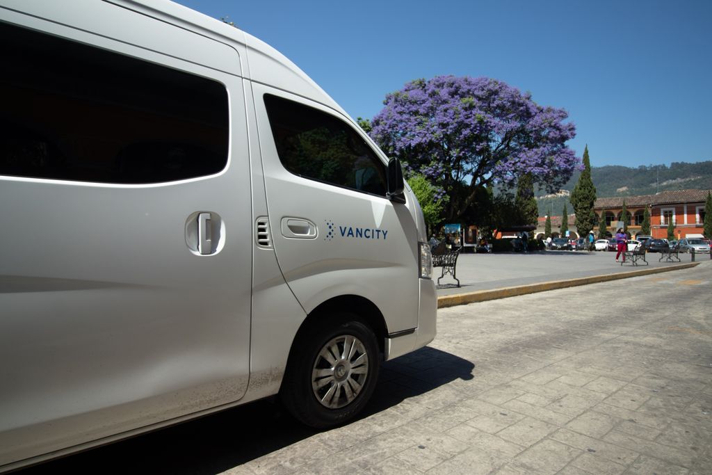 Imagen actual: White van parked outdoors on a sunny day near a stunning purple-flowered tree.